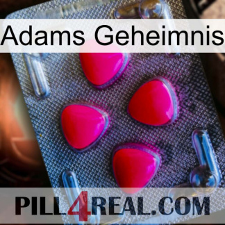 Adams Secret 13